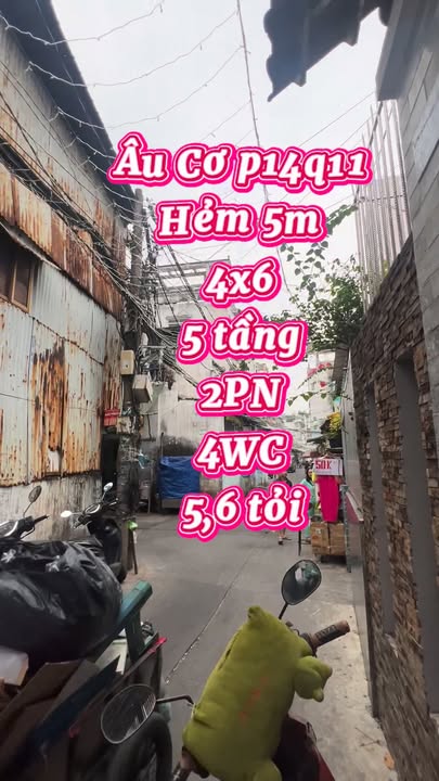 Nhà phố Âu Cơ, Quận 11, 24m² giá 5.6 tỷ - Đầu tư sinh lời ngay!