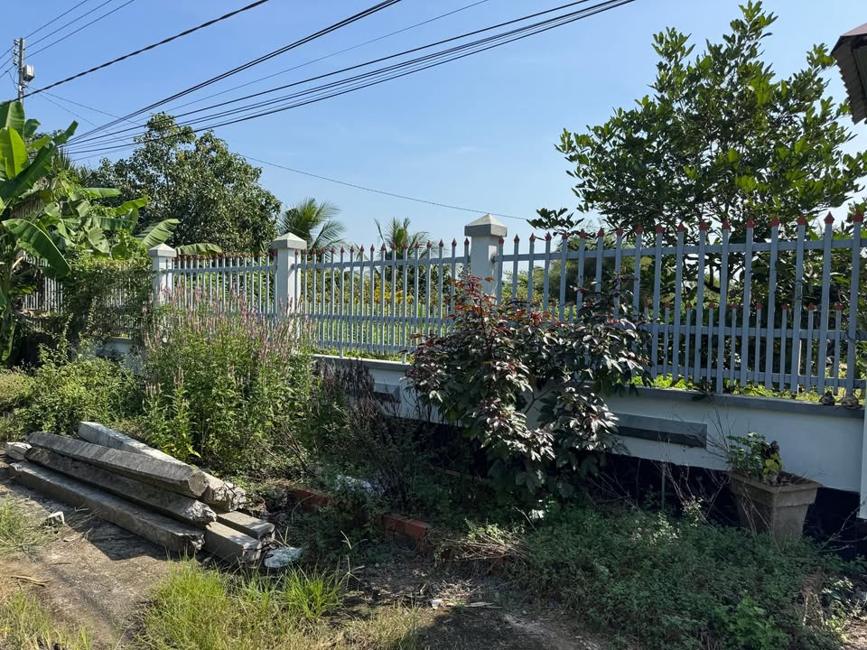 Đất nông nghiệp Xã Song Phú 40.000m² giá 2.9 tỷ - Mặt tiền lộ nhựa 5 tấn, gần chợ