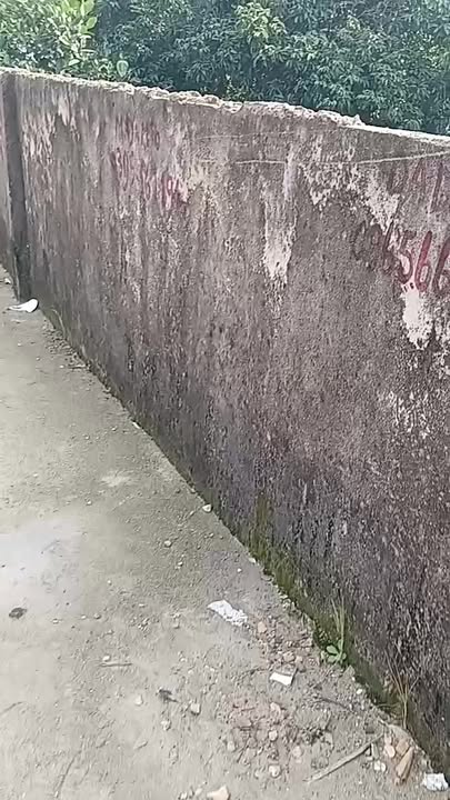 Đất nền 256m² tại QL48E, Nghi Lộc - Giá chỉ 2 tỷ, cơ hội đầu tư tốt!