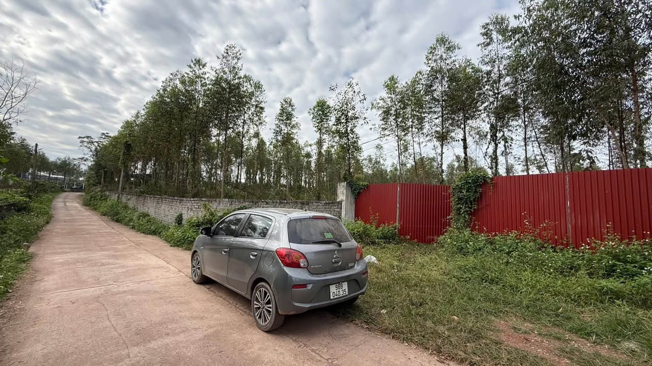 Đất thổ cư 300m² tại Yên Phụ, Bắc Ninh 8500m² - Mặt tiền 80m, Giá thương lượng