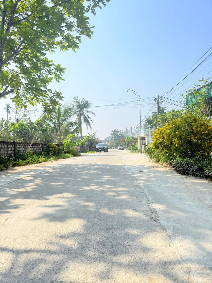 Đất nền xã Bình Minh, huyện Nam Trực 252m² giá 2 tỷ - Vị trí đắc địa gần trung tâm!