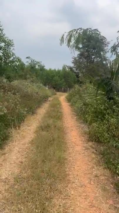 Đất đầu tư sinh lời tại Hàm Tân 1063m² - Vị trí đắc địa, giá chỉ 600 triệu!