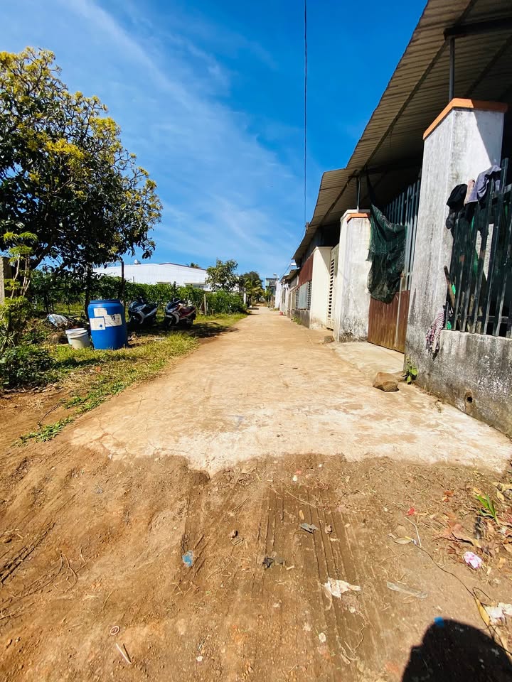 Đất hẻm chính Nguyễn Kiệm, Thống Nhất 130m² giá 495 triệu - Cơ hội đầu tư tuyệt vời!