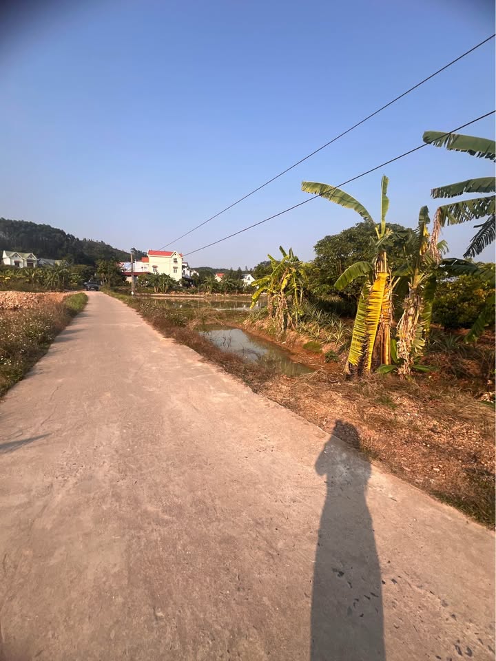 Đất nền Xã Đan Hội 90m² giá 5 tỷ - Cơ hội đầu tư hiếm có!