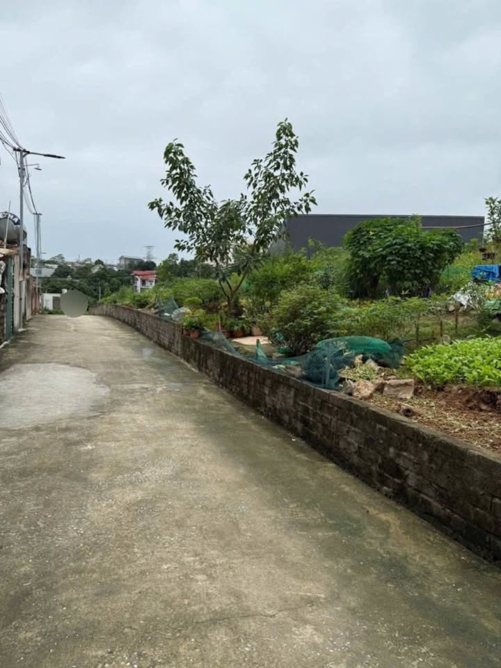 Đất Khu 4B Vân Phú Việt Trì 164.8m² giá 1.98 tỷ - Đầu tư sinh lời ngay!