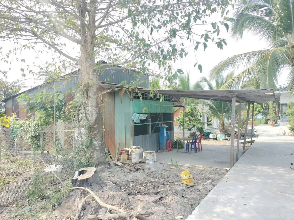 Đất nền Vĩnh Thạnh, Cần Thơ 210m² giá 450 triệu - Cơ hội đầu tư sinh lời!