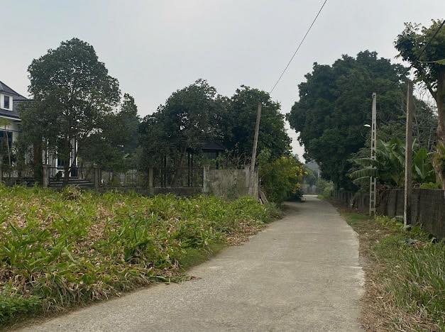 Đất nghỉ dưỡng 1.000m² tại Đồng Sương - Lương Sơn, Hòa Bình chỉ 6,5 tỷ