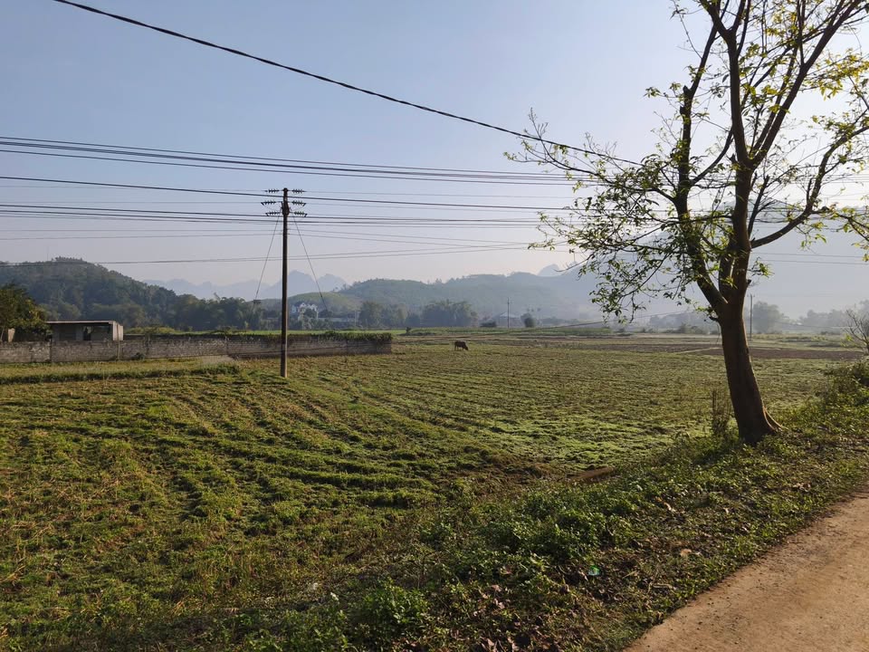 Đất nền Kim Bôi Hòa Bình 1000m² giá 2 tỷ - Sổ hồng tách thửa, view cánh đồng