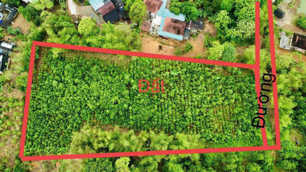 Đất nền chính chủ tại xã Vũ Bình, Lạc Sơn, 2469m² - Đầu tư sinh lời ngay!