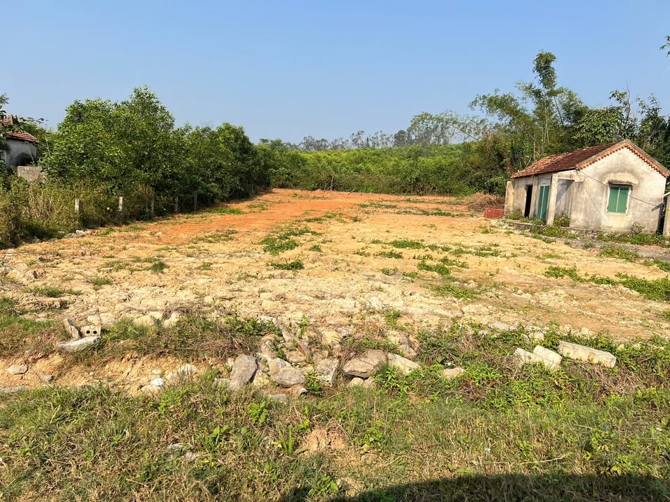 Đất nền chính chủ 480m² tại Xóm Bình Yên, Nghệ An - Giá thỏa thuận hấp dẫn!