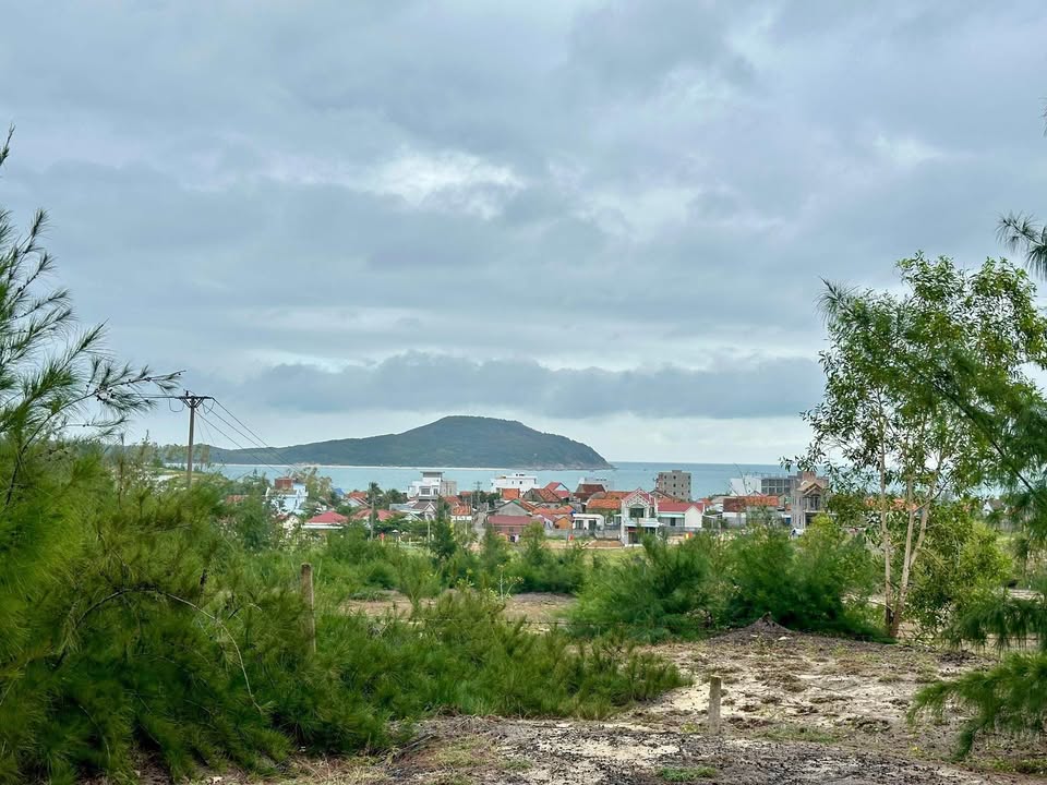 Đất nền Cù Lao Mái Nhà 6000m² giá từ 1.2 tỷ - View biển tuyệt đẹp!