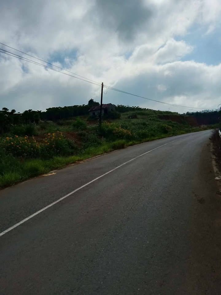 Đất nền Bảo Lộc 80.000m² giá 9 tỷ - Mặt tiền đường Đoàn Thị Điểm