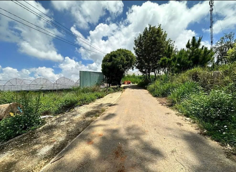 Đất nền Thái Phiên Đà Lạt 330m² giá 5.6 tỷ - Sổ hồng riêng, đường nhựa ô tô vào tận nơi!