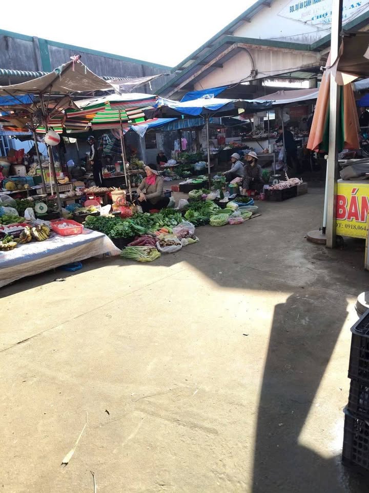 Đất thổ cư Lộc An 145m² giá chỉ 500 triệu - Cắt lỗ nhanh chóng!