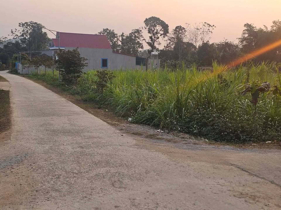 Đất thổ cư 194m² tại thôn Minh Lộc, Thạch Thành - Giá chỉ 170 triệu