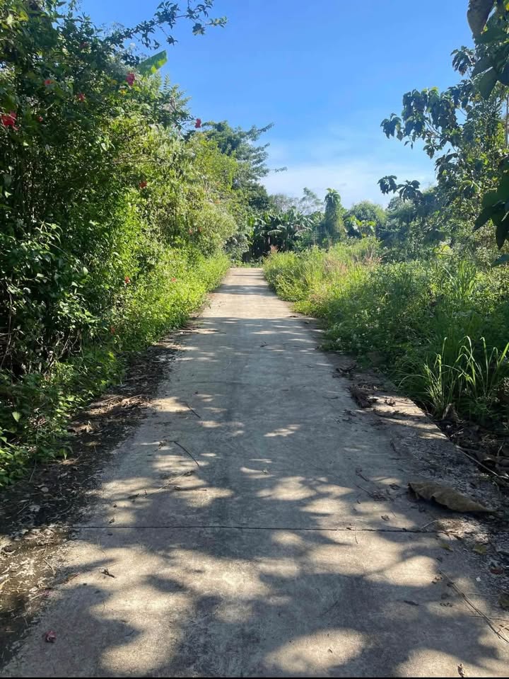 Đất nền mặt tiền đường bê tông tại Phú Tân, Định Quán 360m² - Giá chỉ 350 triệu!