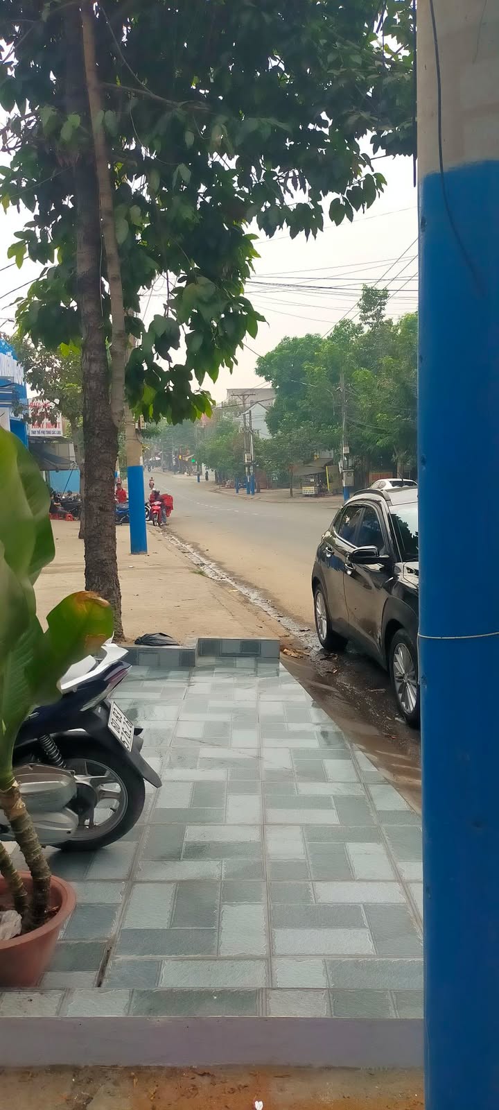 Đất nền Phường An Phú 130m² giá 2 tỷ - Đầu tư sinh lời ngay!