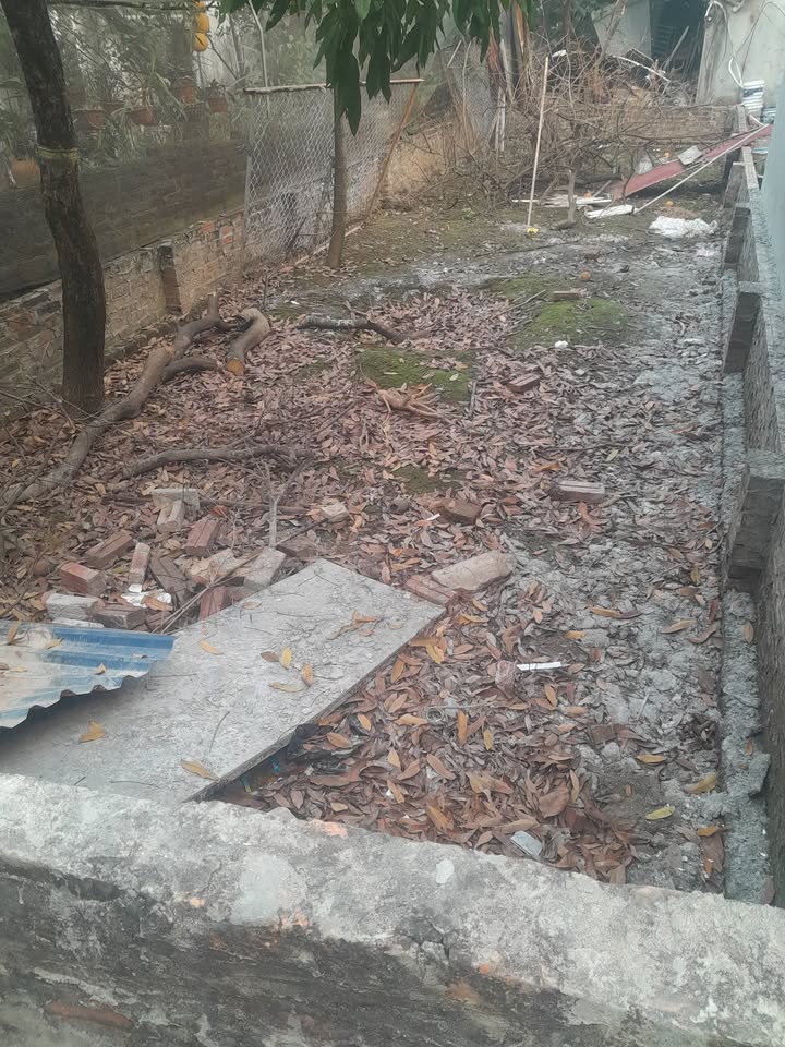 Đất nền Xóm mới, Võng La, Đông Anh 66,3m² - Ngõ thông ô tô, giá tốt nhất!