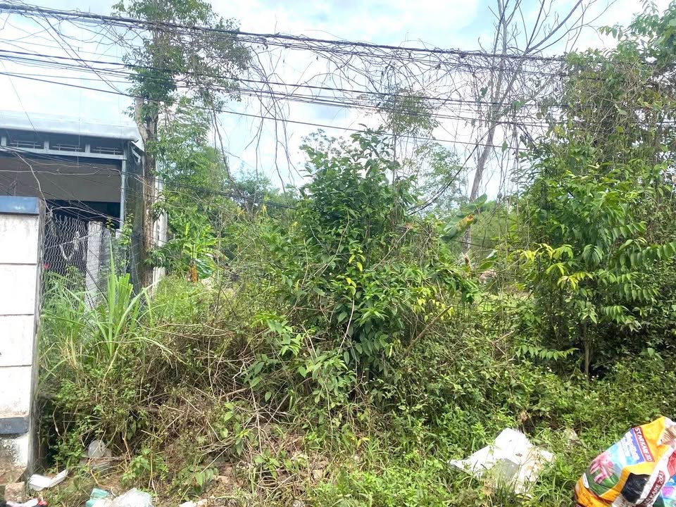 Đất Mặt Tiền Đường Hồ Biểu Chánh, Thủy Phương 194m² giá 1.3 tỷ - Cơ hội đầu tư tuyệt vời!