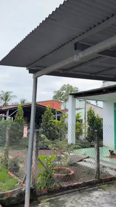 Đất mặt tiền đường nhựa 186m² tại Ấp Long Chuẩn, Tây Ninh - Giá chỉ 390 triệu!