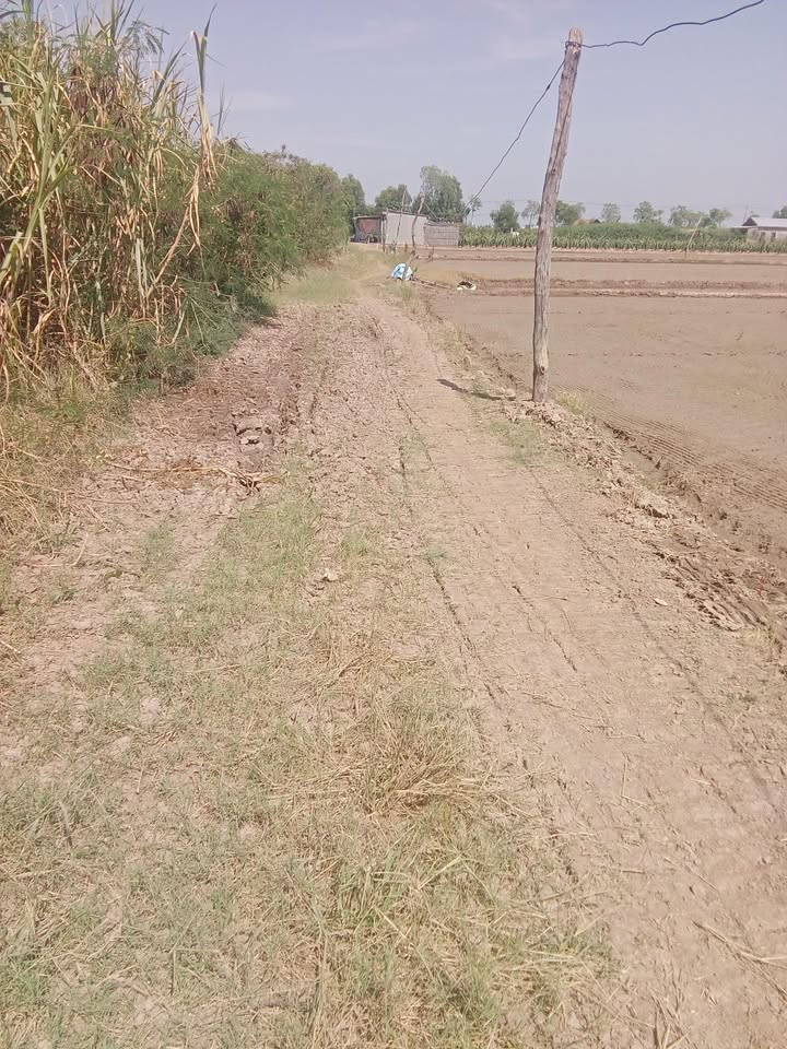 Đất nông nghiệp mặt tiền kênh 3200m² tại Kiểng Phước, 1.2 tỷ - Cơ hội đầu tư tuyệt vời!