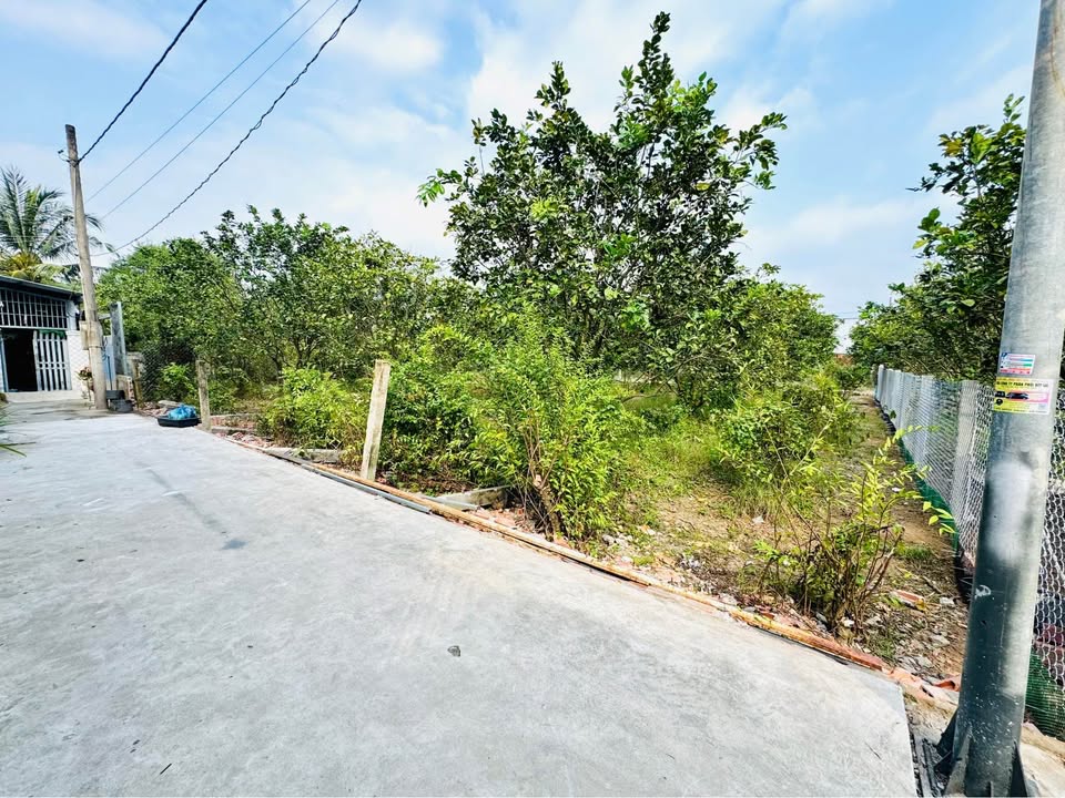 Đất nền liền kề Phường Mỹ Phong, Mỹ Tho 115m² - Giá chỉ từ 700 triệu!