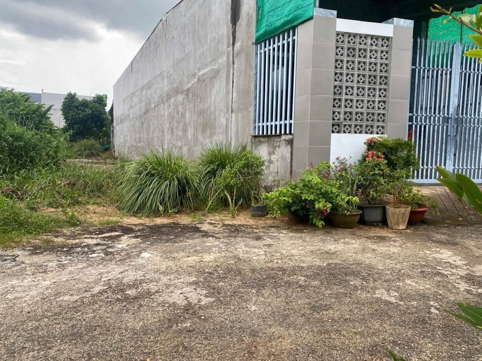 Đất thổ cư Hòa Long, Gia Lâm 100m² giá 1.59 tỷ - Cơ hội đầu tư sinh lời!