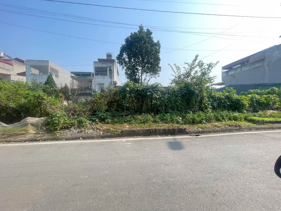 Đất nền xây tự do phố Trần Hữu Tước Lào Cai 99.7m² giá chỉ 1.59 tỷ - Ô tô đỗ tận cửa!