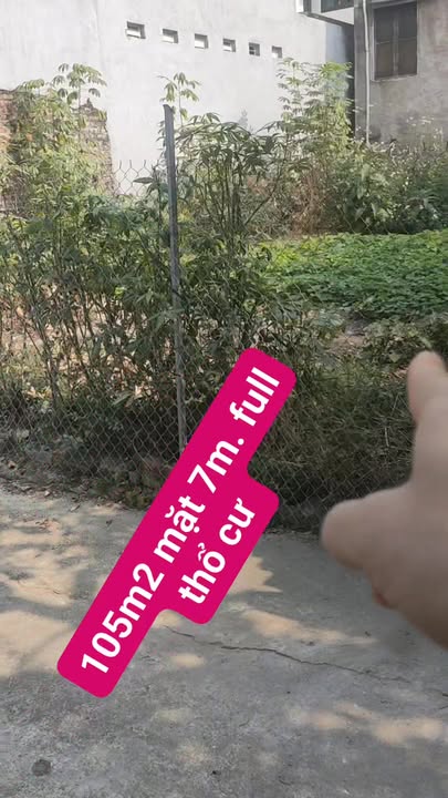 Đất thổ cư 105m² tại Đồng Tâm, Vĩnh Yên chỉ 1 tỷ - Ngõ thông thoáng, tiện ích đầy đủ!