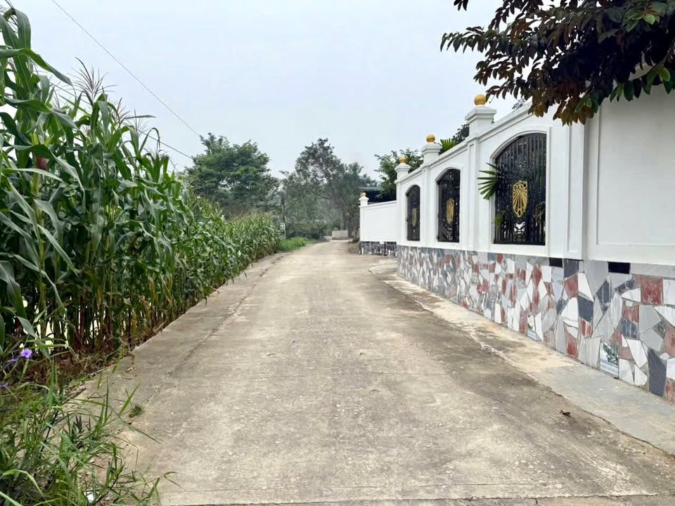 Đất thổ cư xã Bồ Lý Tam Đảo 100m² giá chỉ 300 triệu - Cơ hội đầu tư tuyệt vời!