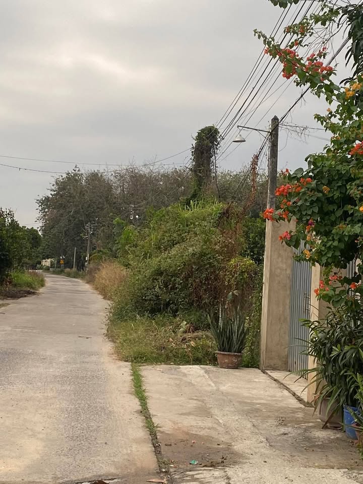 Đất thổ cư 252m² mặt tiền Nguyễn Công Hoan, Chơn Thành giá 890 triệu - Cơ hội đầu tư tuyệt vời!