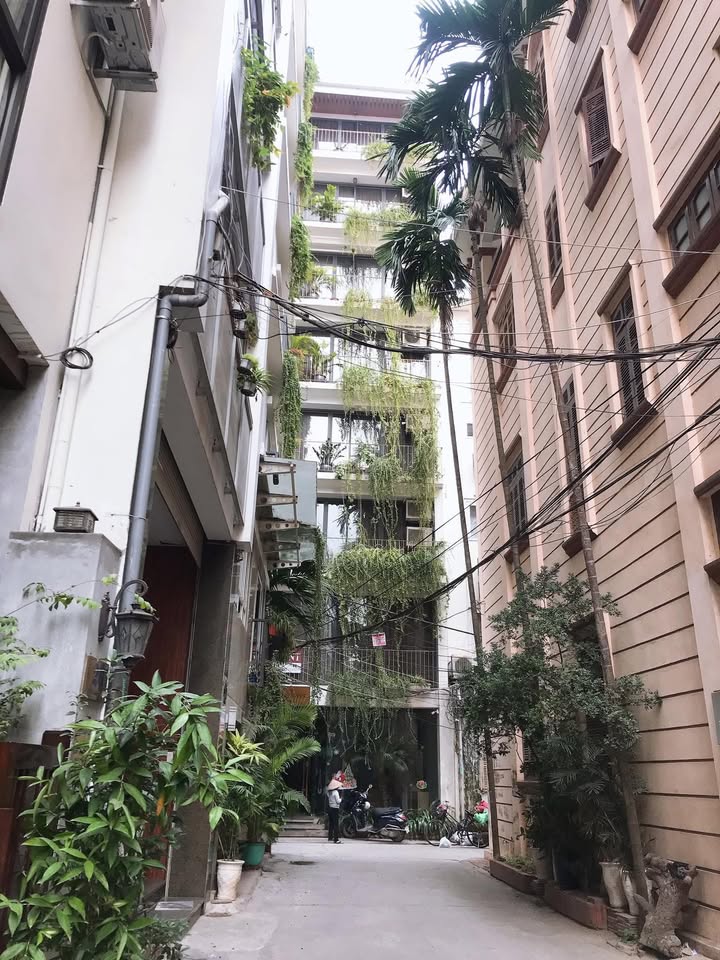 Nhà cho thuê tại Định Công Hạ, Hoàng Mai 55m² - Thích hợp cho gia đình hoặc nhóm bạn