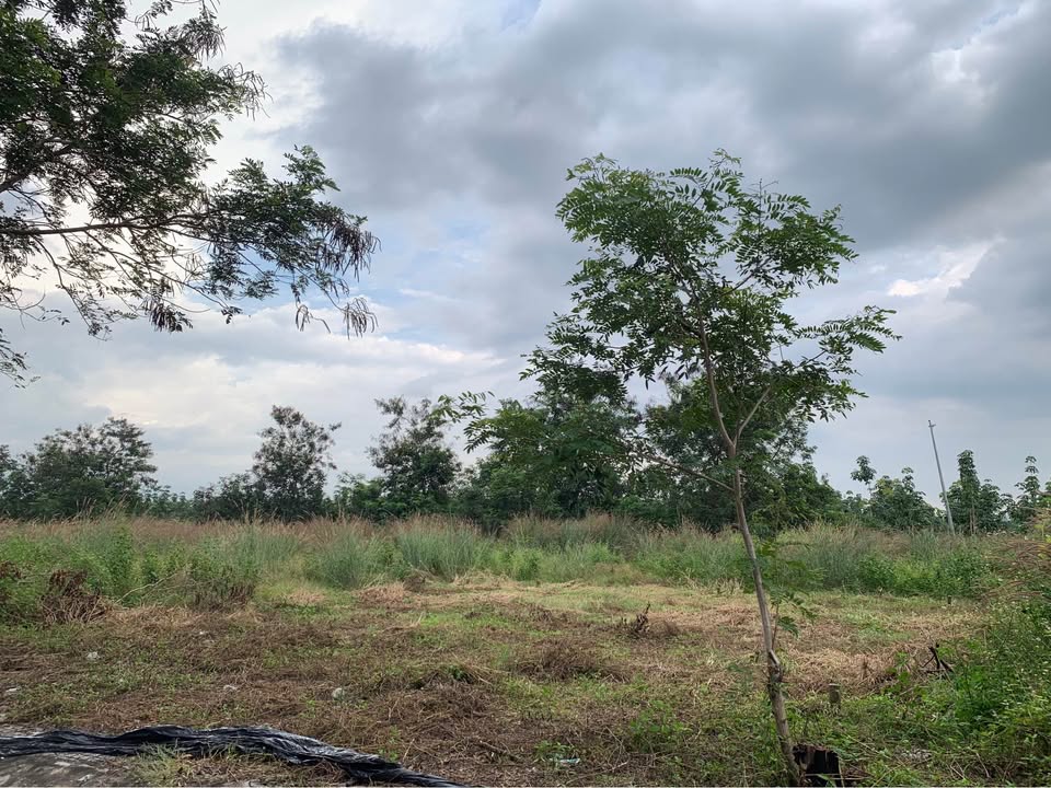 Đất nền Khu đô thị Bàu Xéo Trảng Bom 150m² giá 1 tỷ - Sổ riêng thổ cư