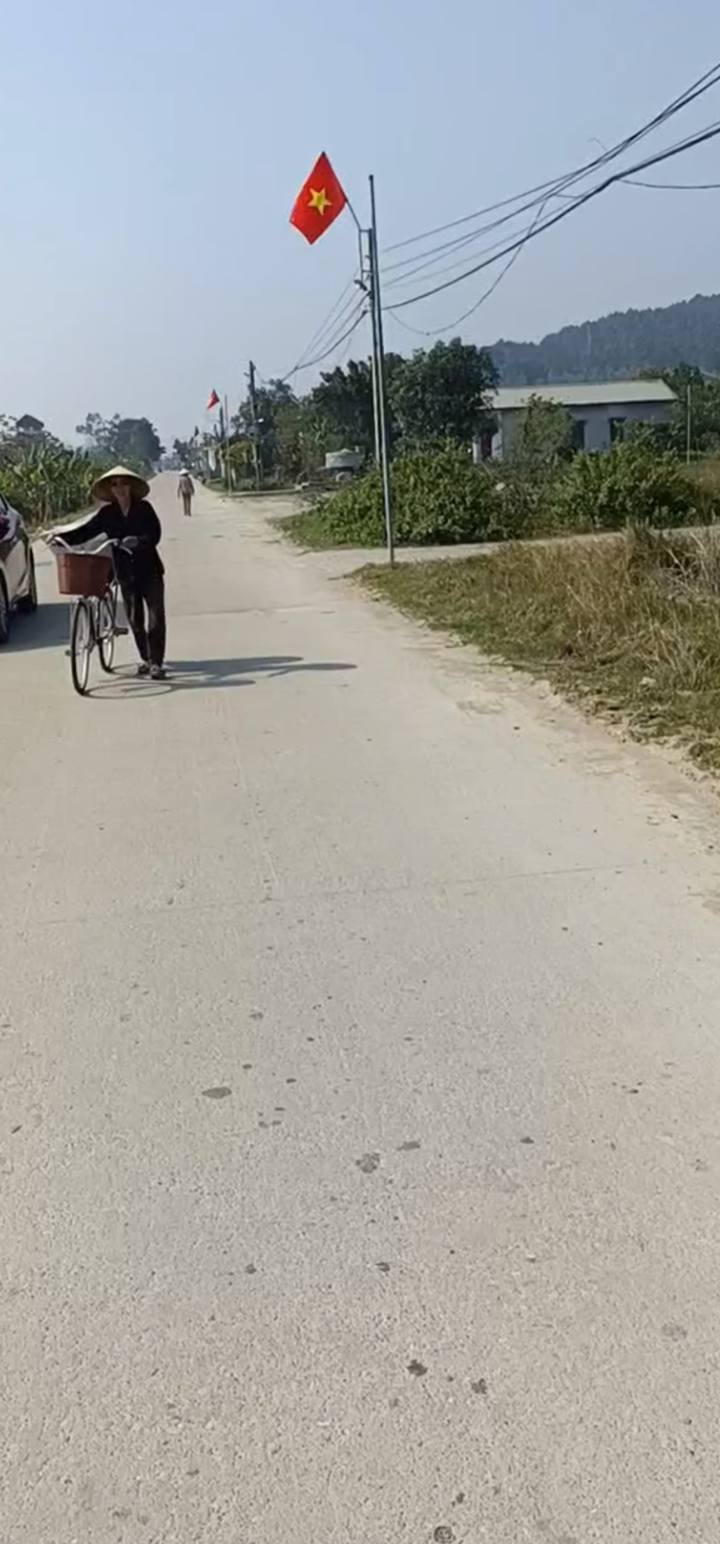 Bán đất mặt đường Tây Quỳnh Lưu TL537D, Nghệ An 189.3m² - Tiềm năng tăng giá cao!