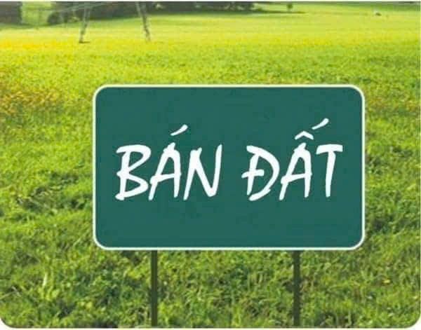 Đất Võng Xuyên, Phúc Thọ 168m² giá 3.36 tỷ - Vị trí đẹp, ô tô vào tận nơi!