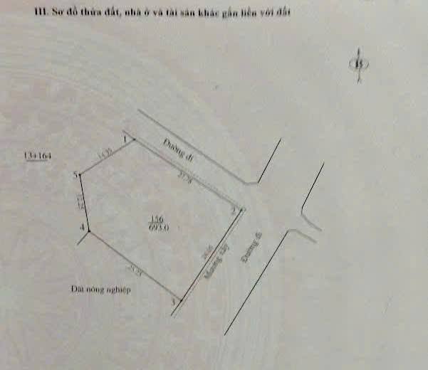 Đất nền Thôn Tân Phúc, Sơn Tây 693m² giá 15.246 tỷ - Đầu tư sinh lời ngay!