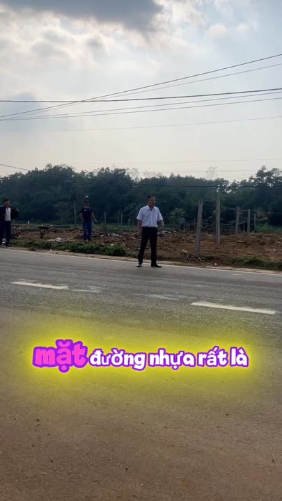 Đất nền Phong Châu 100m² giá chỉ 1.5 triệu - Cơ hội đầu tư hiếm có!