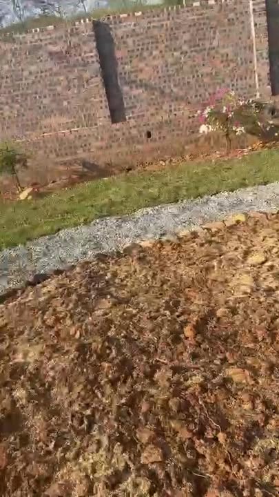 Đất Đồng Bèn, Hoà Lạc 863m² - Vị trí đẹp, ô tô vào tận nơi!