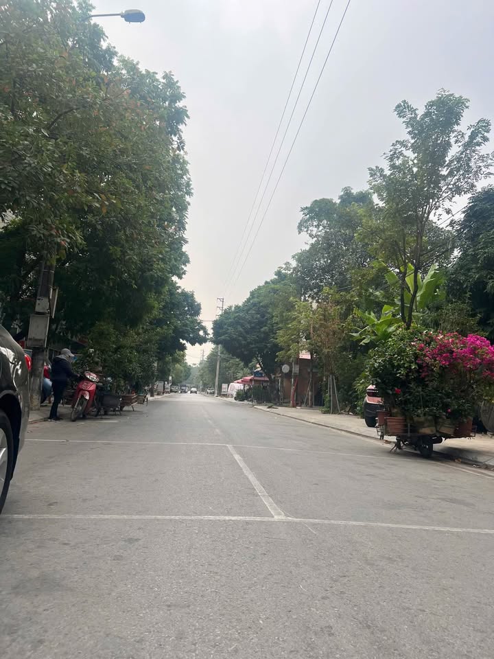 Nhà phố 5 tầng Lê Quý Đôn, Vĩnh Yên 115m² giá 8 tỷ - Tiềm năng kinh doanh lớn!