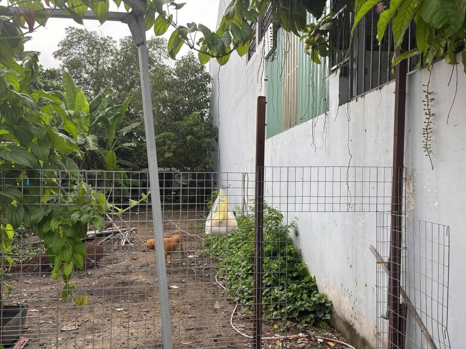 Đất thổ cư Tân Xuân 128m² giá 3.4 tỷ - Đầu tư sinh lời ngay!