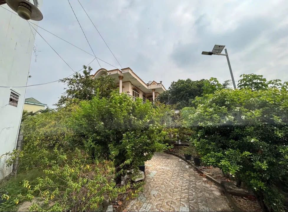 Bán đất thổ cư 1000m² tại Huỳnh Thị Na, Hóc Môn - Cơ hội đầu tư tuyệt vời!