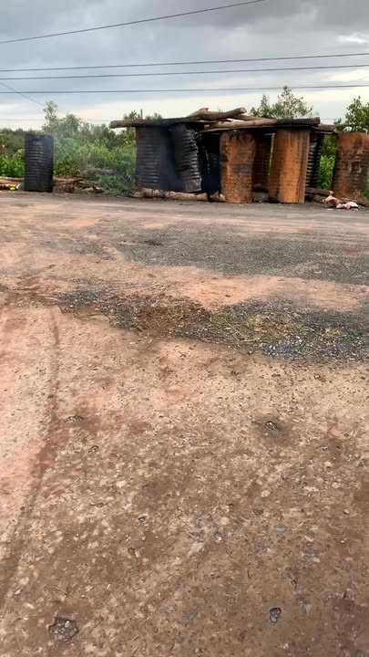 Farm 84 công tại ấp Vàm Rạch Cỏ, Trà Vinh giá 13.86 tỷ - Đầu tư sinh lời ngay!