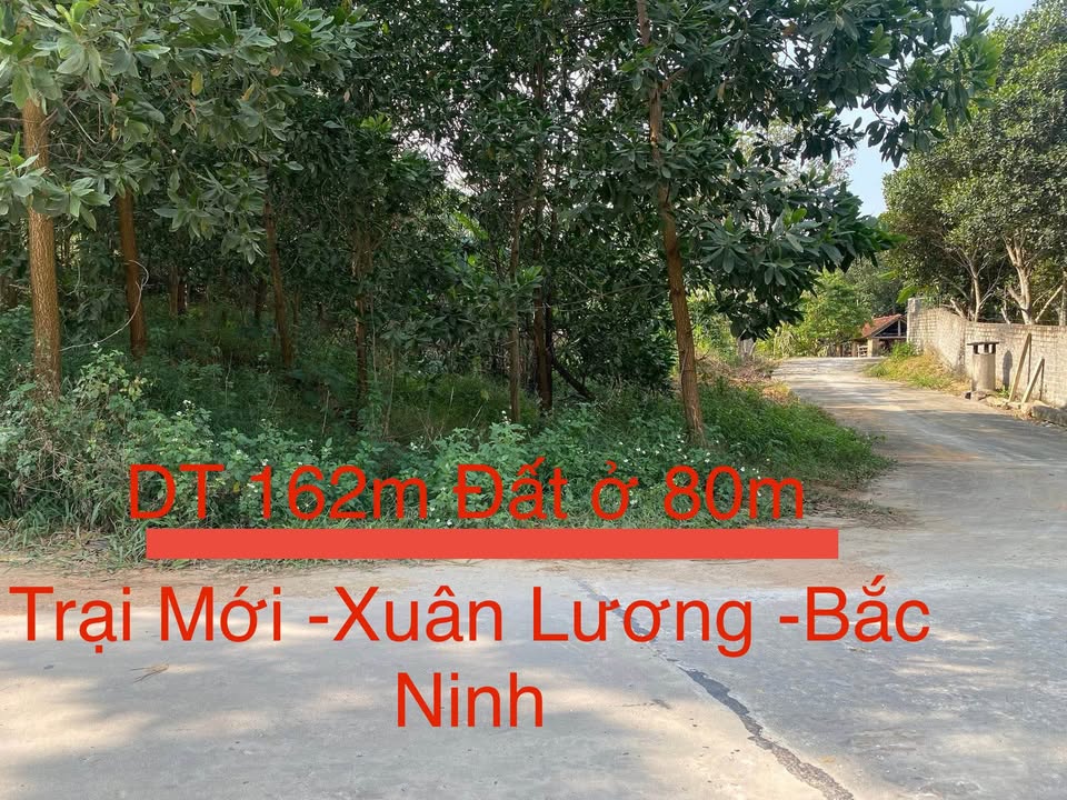 Đất ở Trại Mới, Đồng Tiến, Yên Thế, Bắc Giang 162m² giá 4 tỷ - Đầu tư sinh lời ngay!