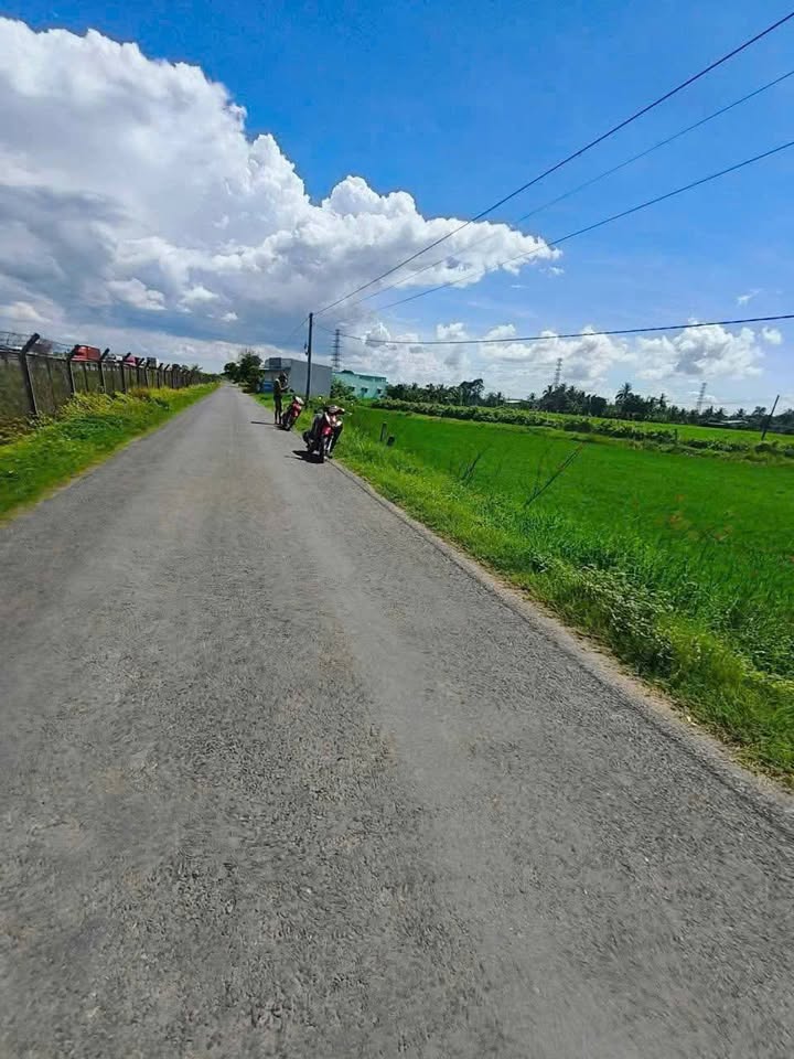 Đất thổ cư 1000m² mặt tiền đường Nhựa công vụ, Bến Lức, Long An - Giá chỉ 2.8 tỷ!