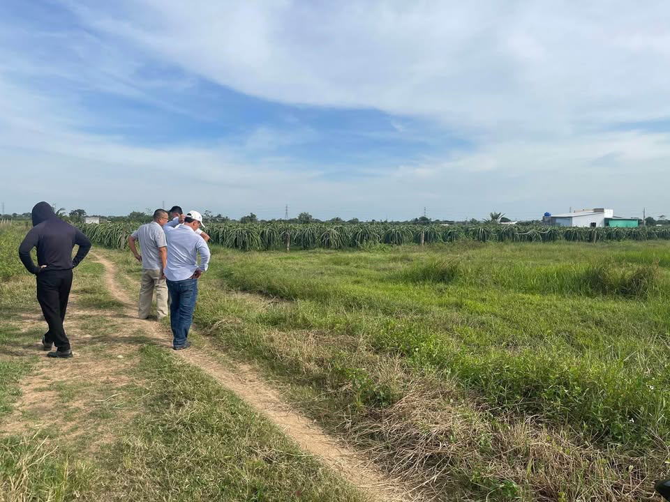 Đất nền 2.000m² tại Phú Nhang, Hàm Hiệp chỉ 500 triệu - Cơ hội đầu tư tuyệt vời!