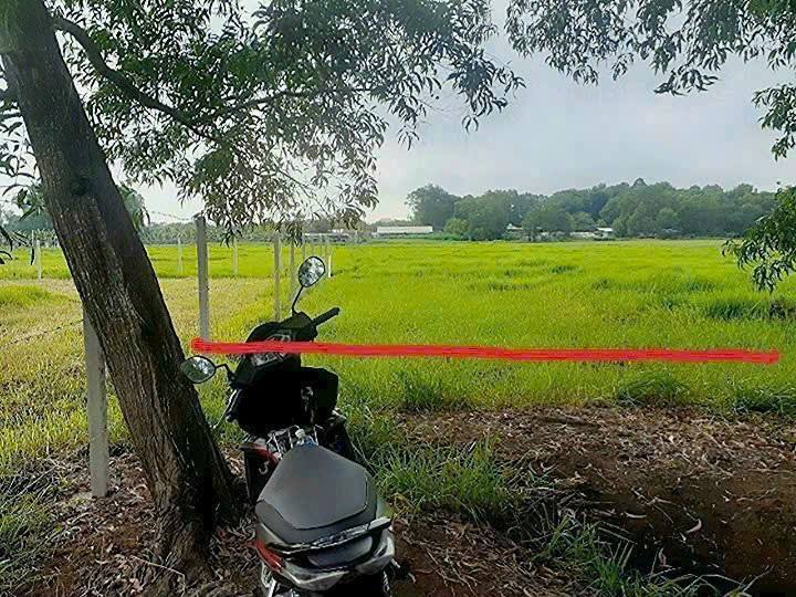 Đất nền 1928m² tại Củ Chi giá 2.6 tỷ - Sổ hồng chính chủ, đầu tư sinh lời!