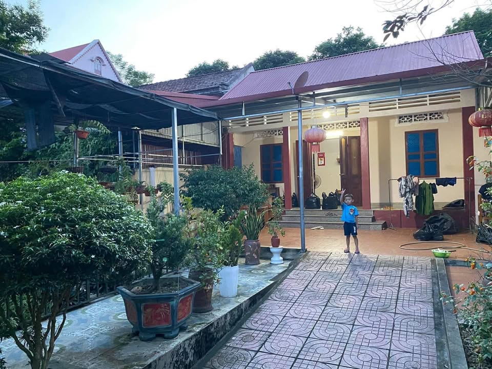 Đất thổ cư khu 6, Thị trấn Thanh Sơn, 332m² - Giá chỉ 1.2 tỷ, thương lượng ngay!