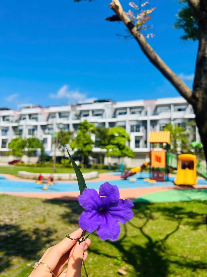 Căn hộ HIM LAM Bắc Ninh 75m² giá tốt - Mặt tiền đẹp nhìn vườn hoa!