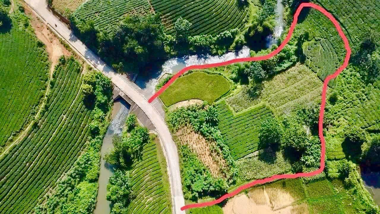 Đất nghỉ dưỡng Mỹ Thuận, Tân Sơn 5200m² giá 1 tỷ - View đồi chè thơ mộng!