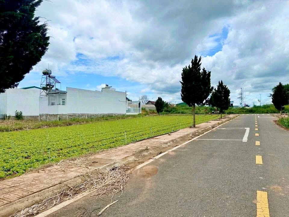 Đất nền Phú Hội, Đức Trọng 125m² giá 1.2 tỷ - Hạ tầng hoàn thiện, vị trí đắc địa!